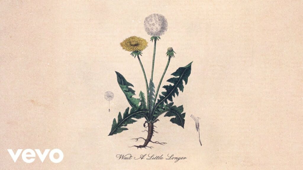 Snoh Aalegra Sweet Tea Chords Tabs Lyrics